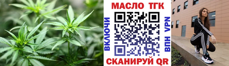 закладка  Иланский  ТГК концентрат 