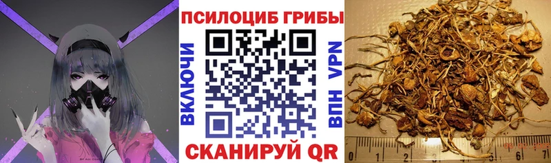 Галлюциногенные грибы Cubensis  Иланский 